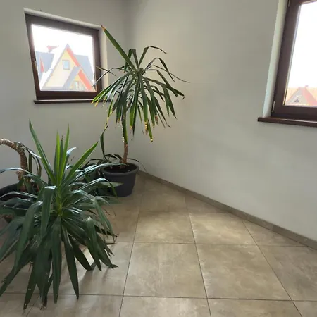 招待所 Agma 扎科帕内